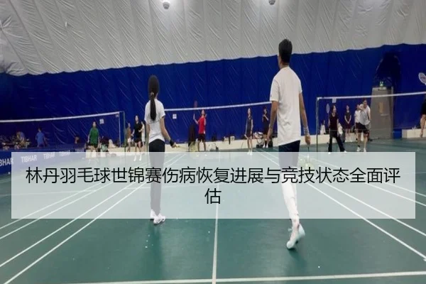 lin-dan-yu-mao-qiu-shi-jin-sai-shang-bing-hui-fu-jin-zhan-yu-jing-ji-zhuang-tai-quan-mian-ping-gu-2-808.jpg